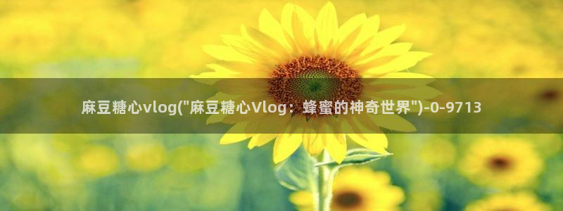 糖心vlog所有作品