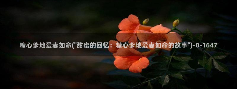  心糖vlog：糖心爹地爱妻如命(\