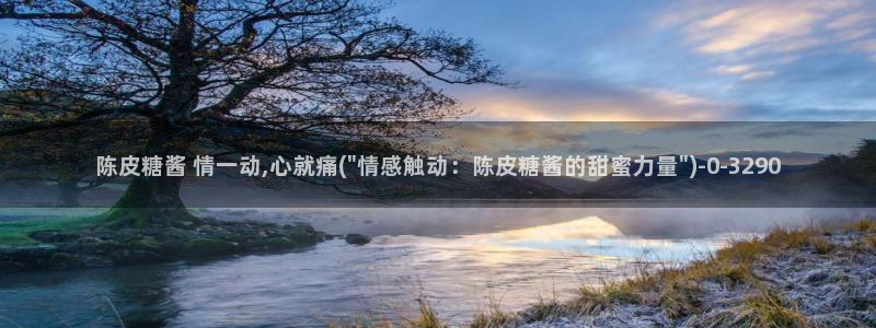  心糖vlog官网入口：陈皮糖酱 情一动,心就痛(\