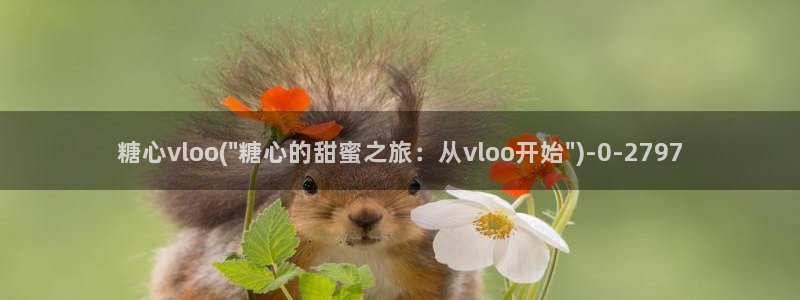 糖心vlog苹果下载